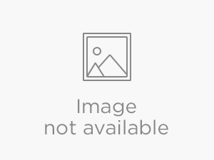 ’23 Rockwood Freedom 1640LTD